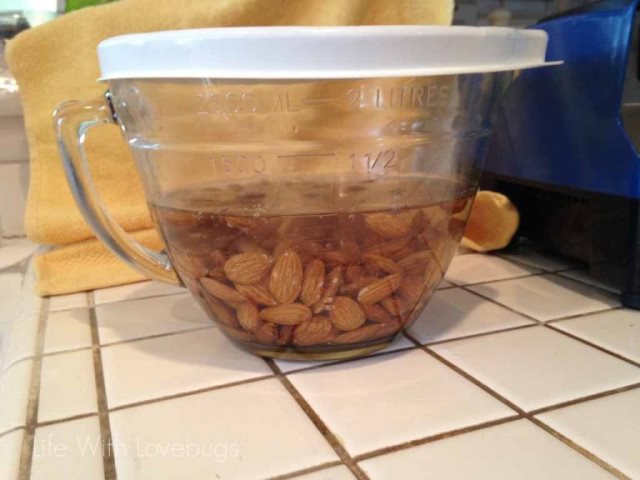 How to Make Homemade Almond Milk Step 1