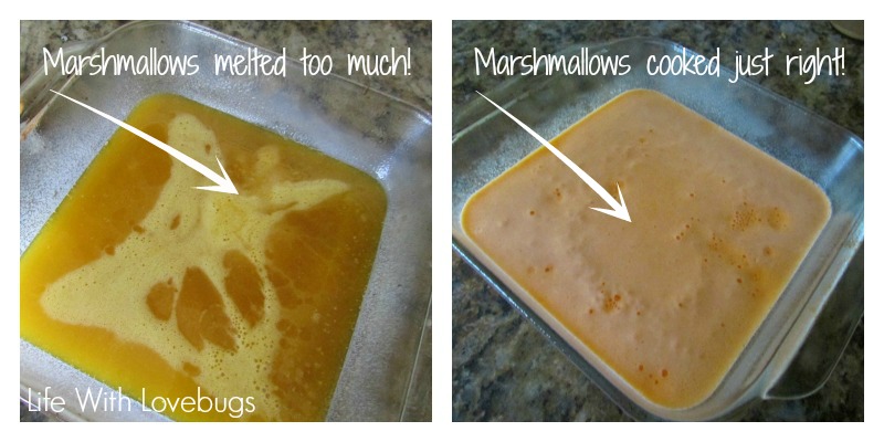 Marshmallow Jigglers 