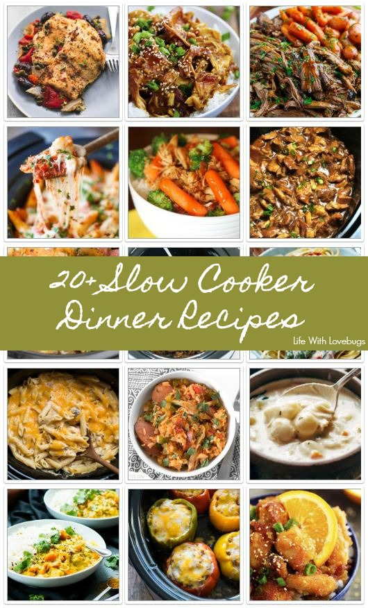 20+ Slow Cooker Dinners 