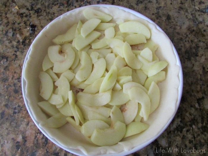 Custard Style Apple Tart