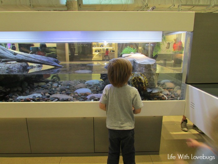 NHM of Los Angeles County: Nature Gardens and Nature Lab
