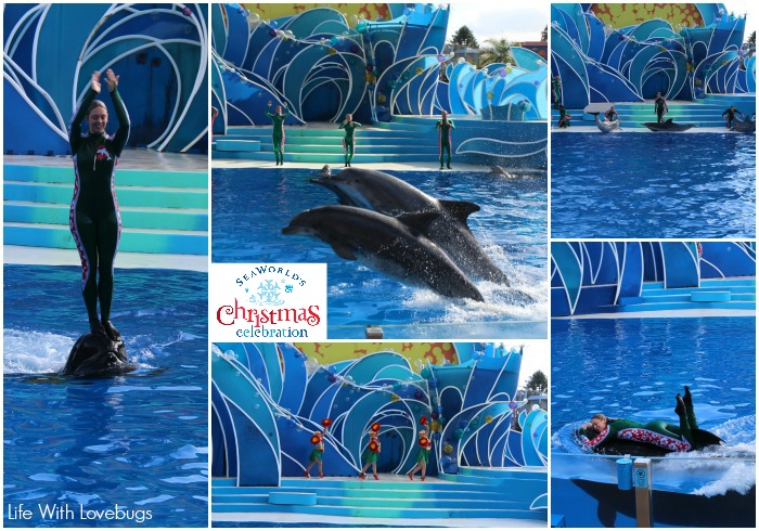 Sea World Christmas Celebration 2014: Dolphin Island Christmas