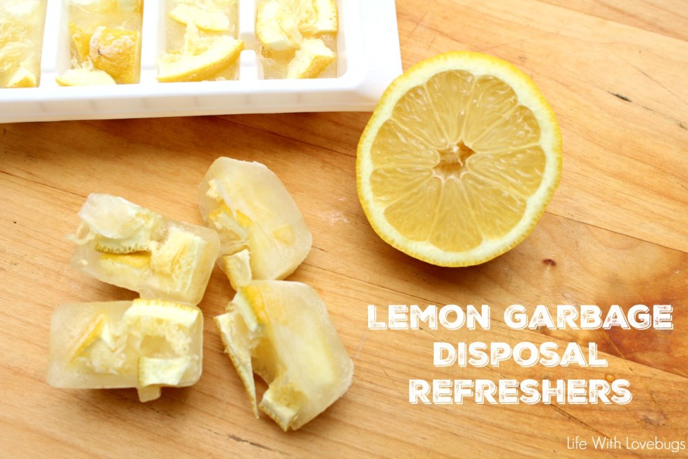 Lemon Garbage Disposal Refreshers