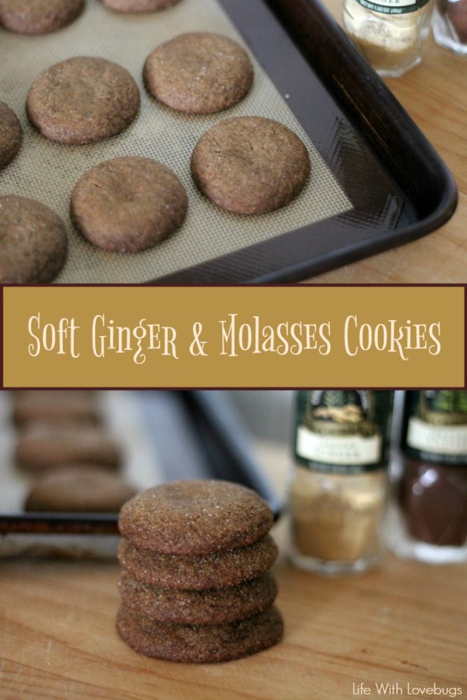 Soft Ginger and Molasses Cookies
