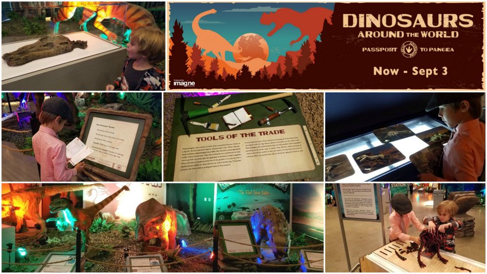 Dino Summer at Discovery Cube 