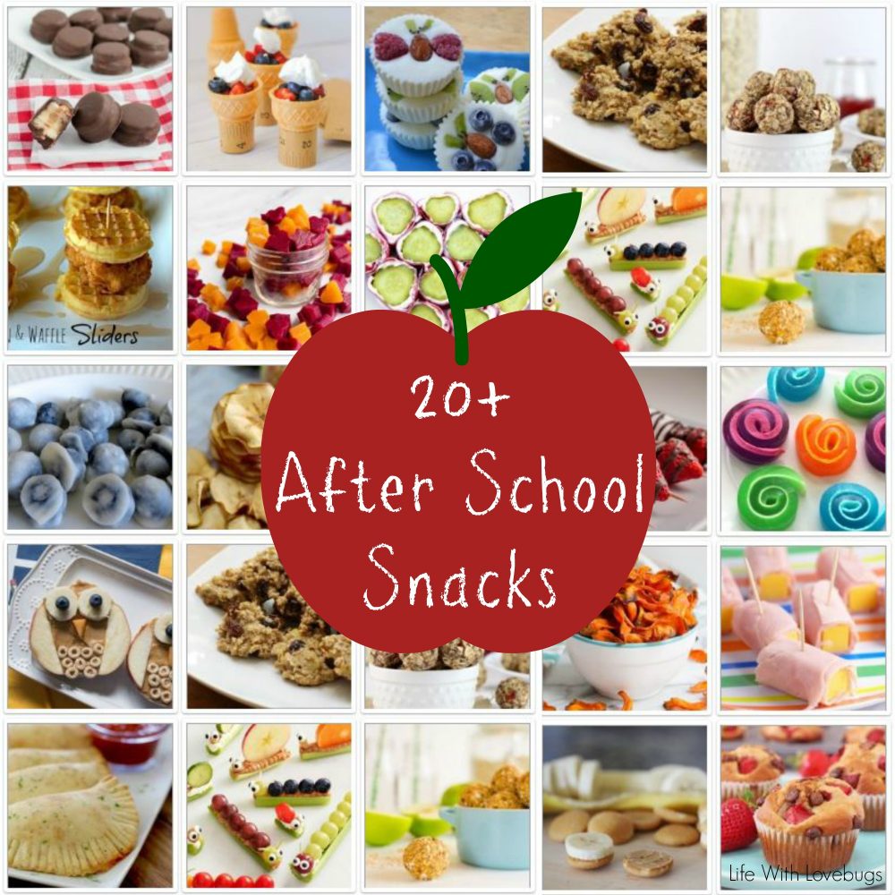 20+ After School Snacks