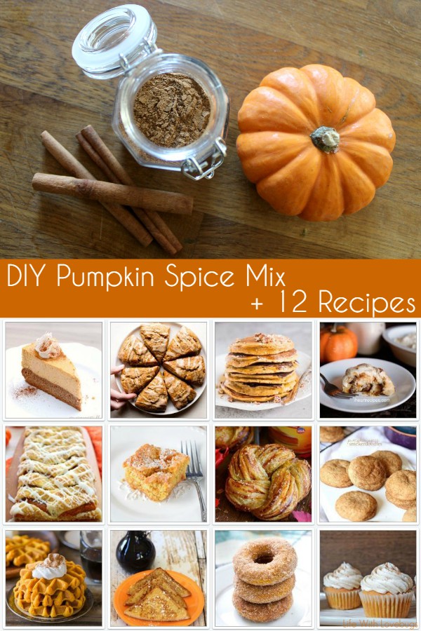 DIY Pumpkin Spice Mix + 12 Recipes 