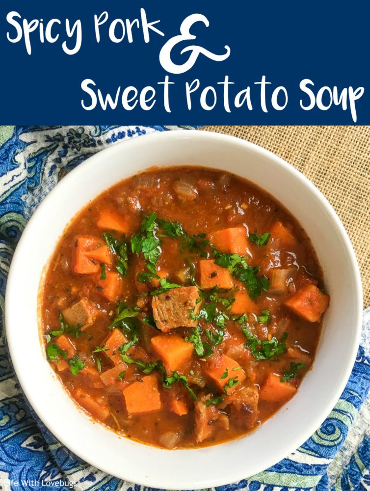 Spicy Pork and Sweet Potato Soup