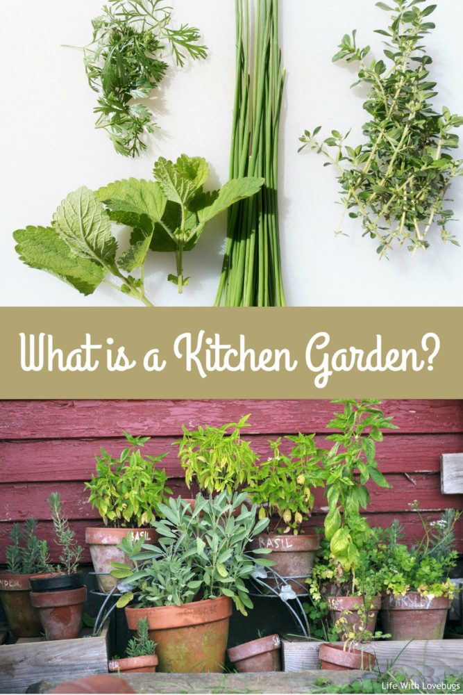 What is a Kitchen Garden? 