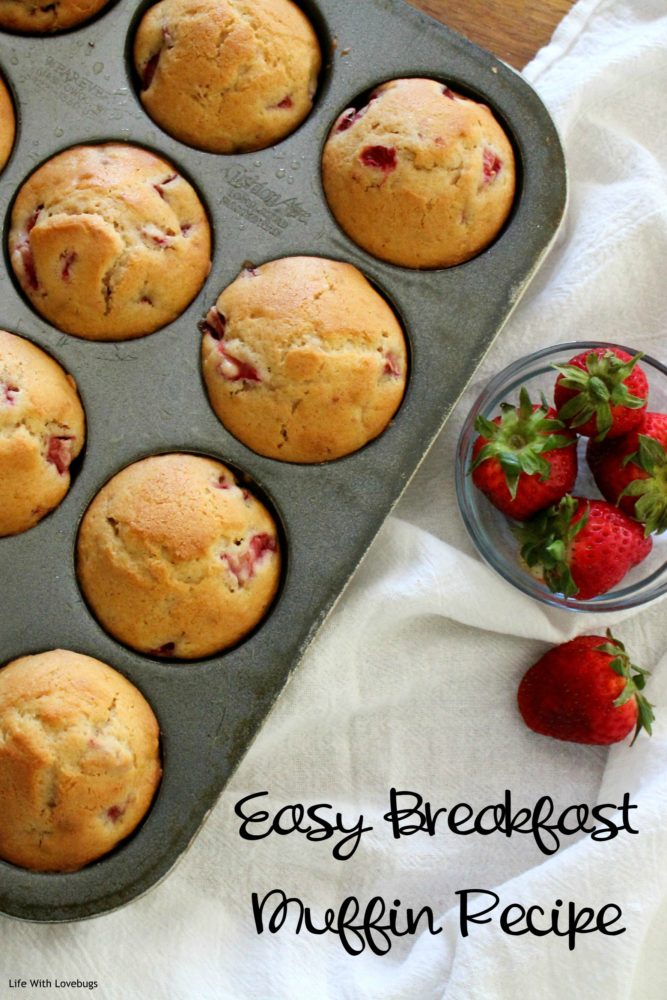 Easy Breakfast Muffins 