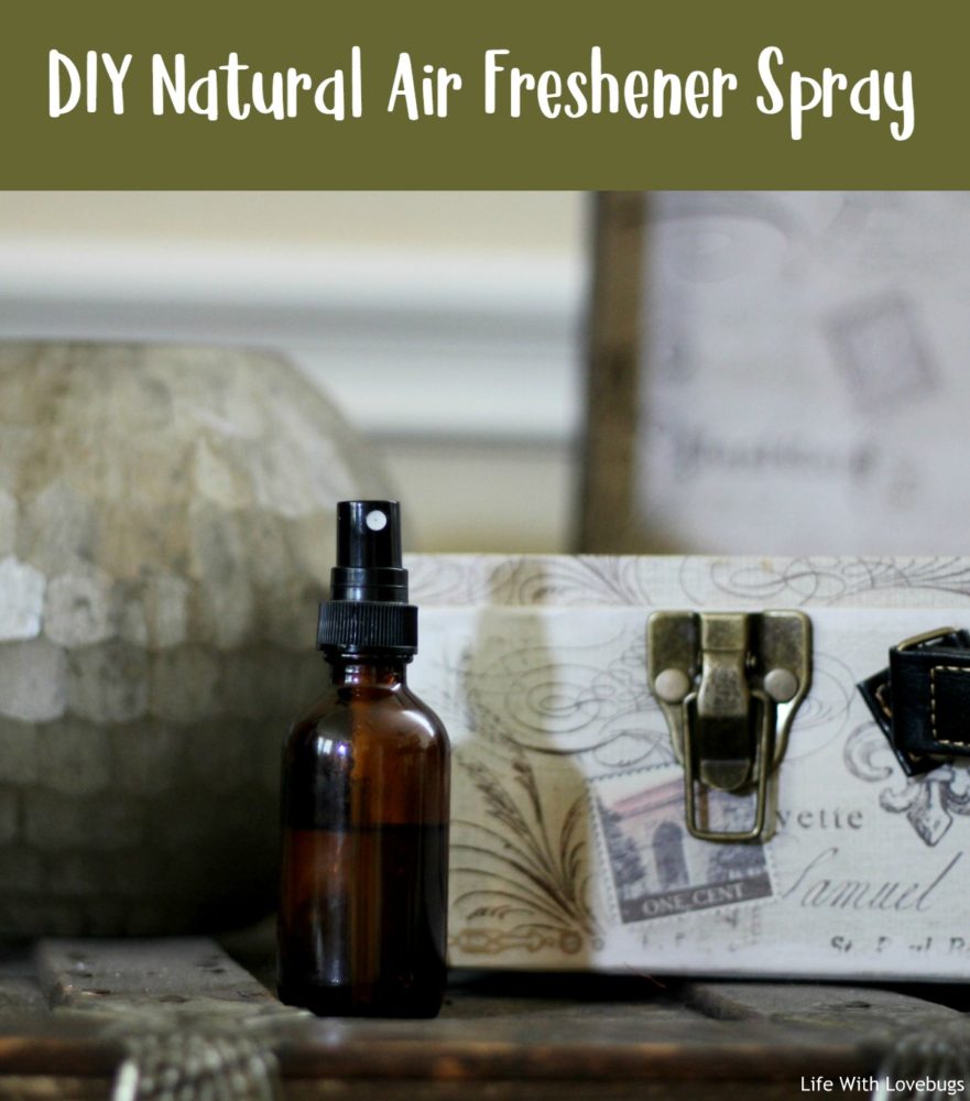 DIY Natural Air Freshener Spray 