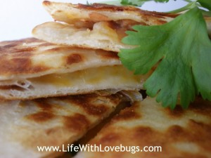 Bean and Cheese Quesadilla