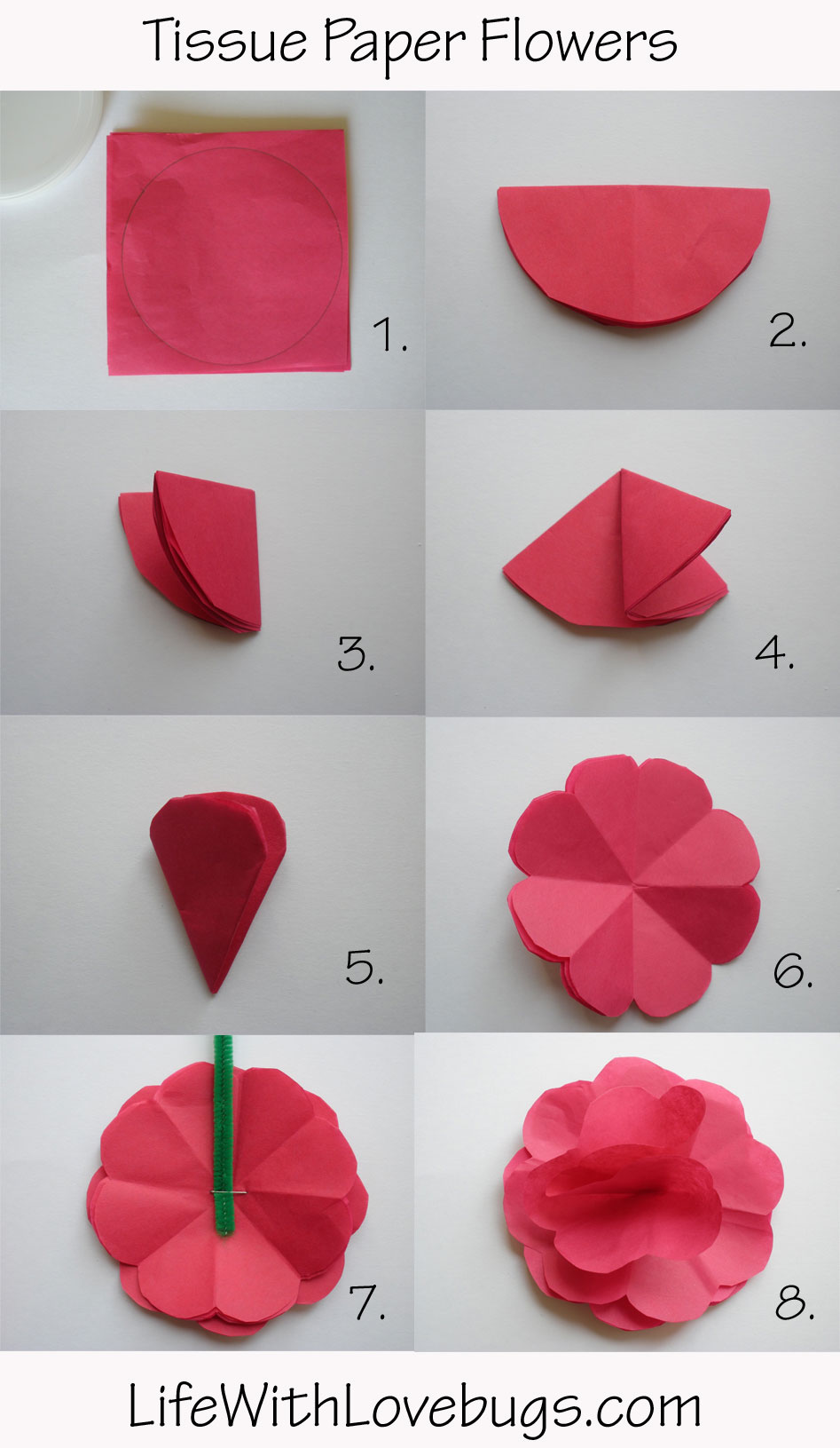 Paper Flower Making