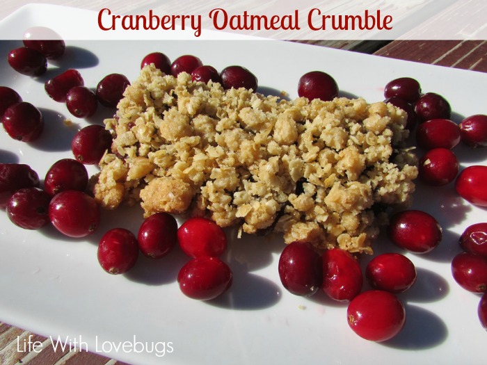 Cranberry Oatmeal Crumble 