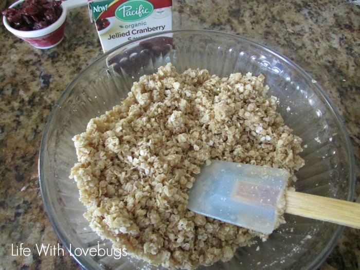 Cranberry Oatmeal Crumble 