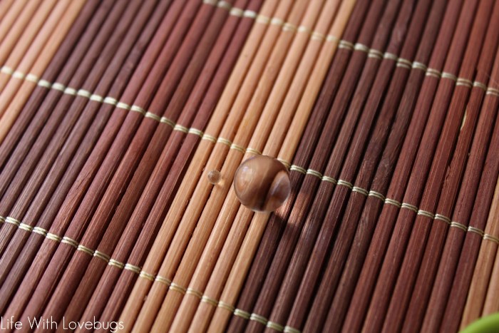 How to Make a Water Bead Diffuser