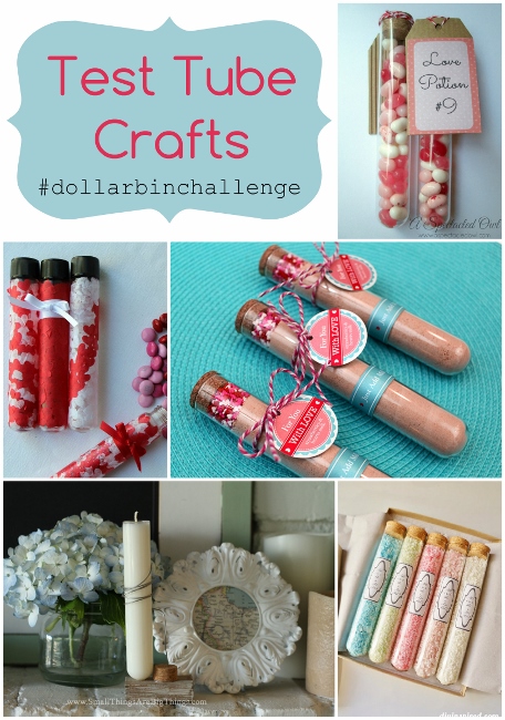 Test Tube Craft Ideas-Dollar Bin Challenge
