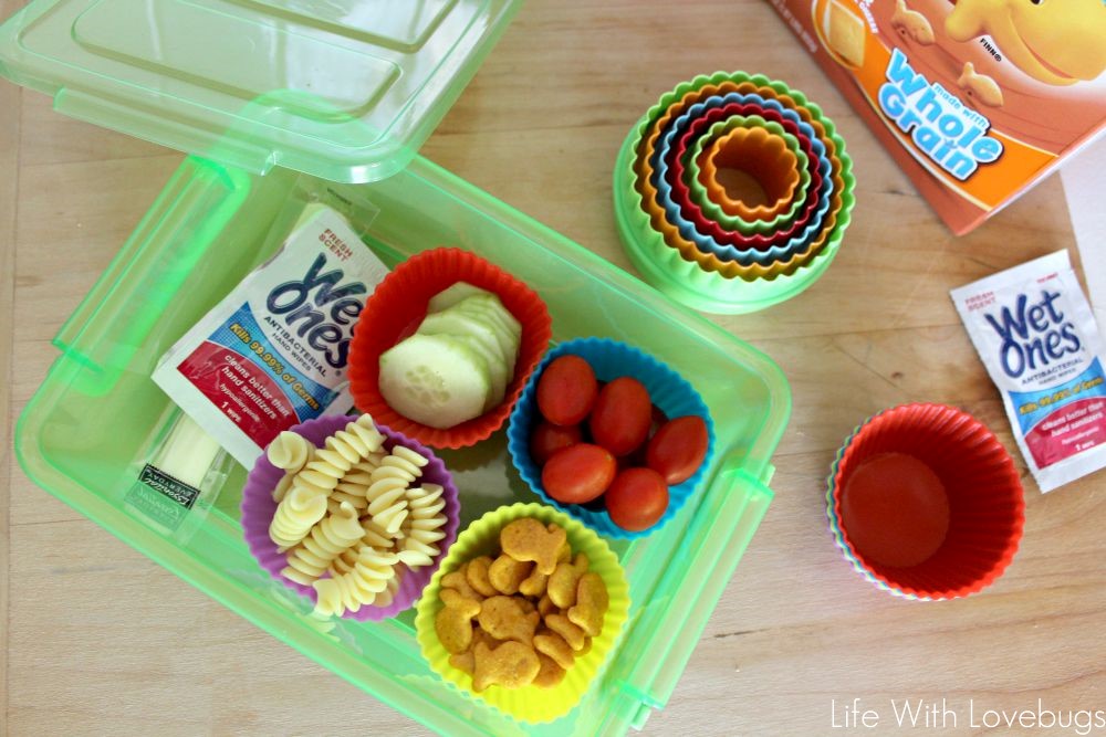 Back to School Lunch Ideas 