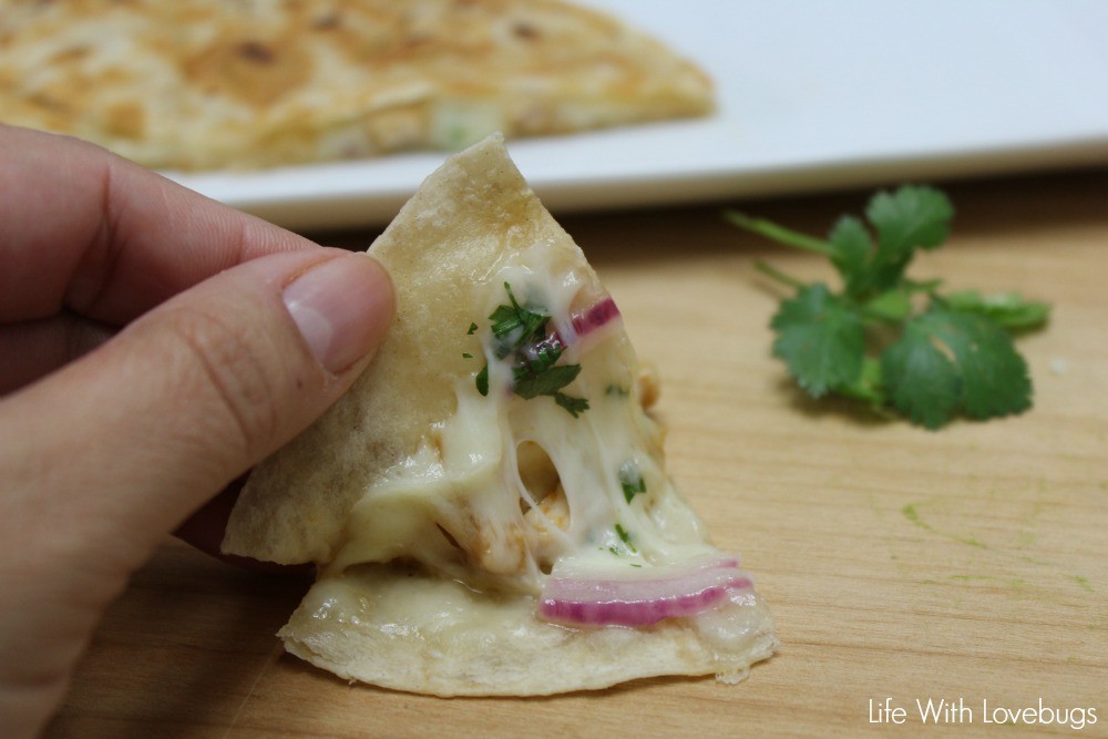 BBQ Chicken Quesadillas