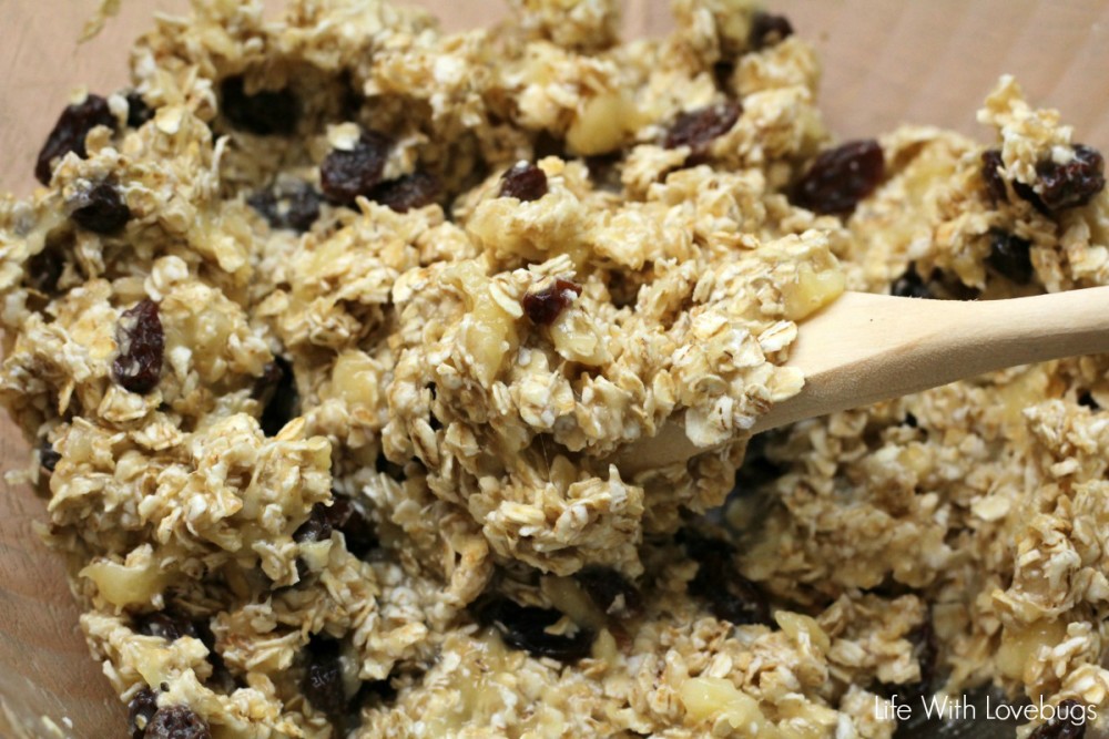 3 Ingredient Oatmeal Banana Cookies 