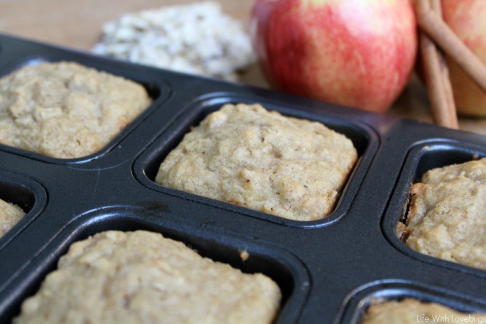 Spiced Applesauce and Oatmeal Muffins