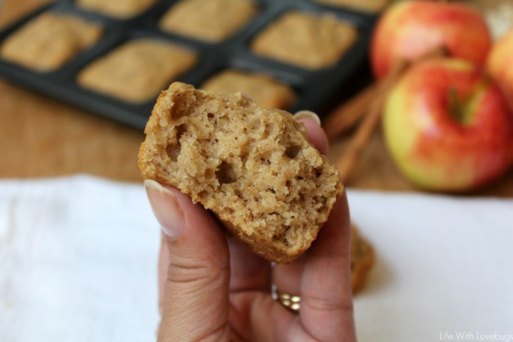 Spiced Applesauce and Oatmeal Muffins