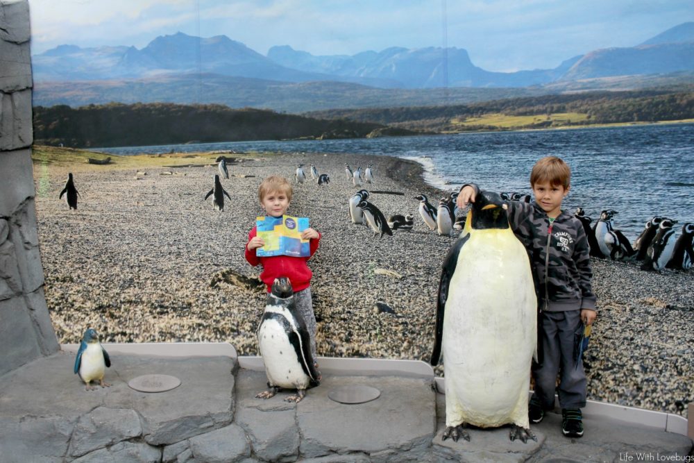 Holidays at The Aquarium of the Pacific