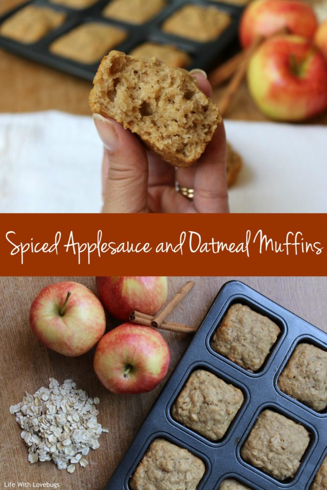Spiced Applesauce and Oatmeal Muffins
