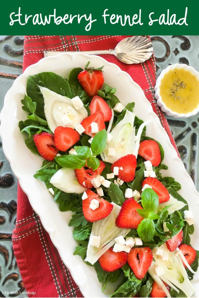 Strawberry Fennel Salad with Homemade Vinaigrette