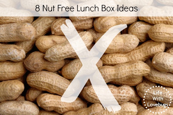 8 Nut Free Lunch Box Ideas
