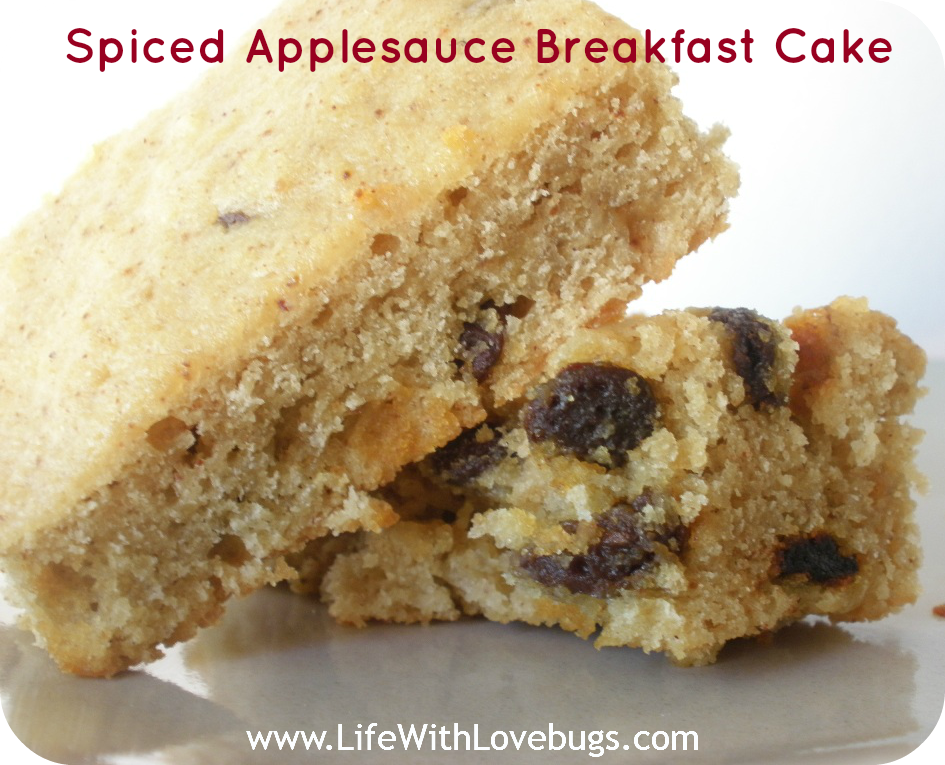 Spiced Applesauce Breakfast Cake