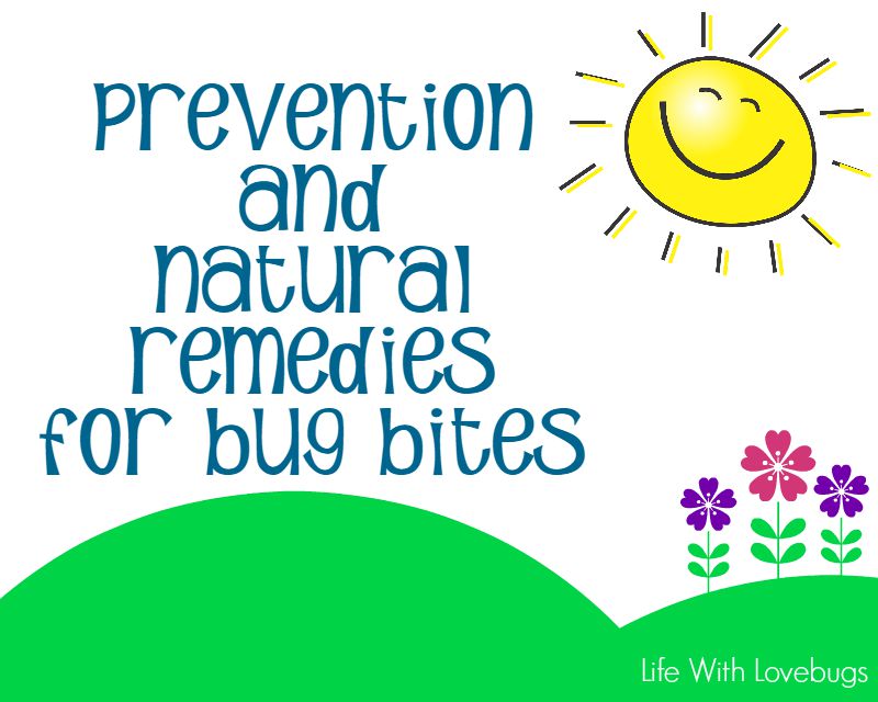 Natural Remedies for Bug Bites