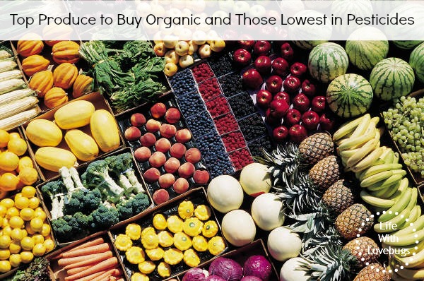 Top Produce to Buy Organic and Those Lowest in Pesticides