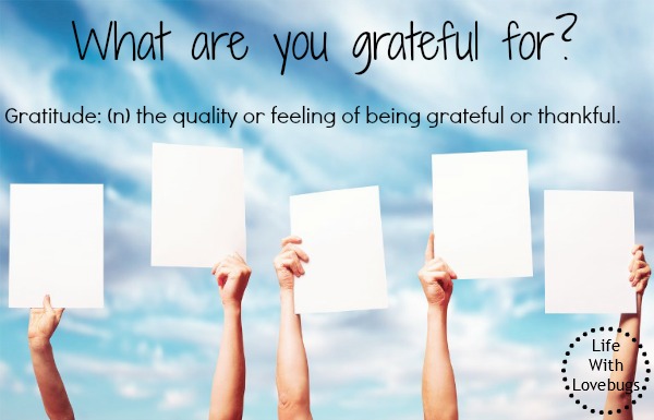 Gratitude: What are you grateful for?