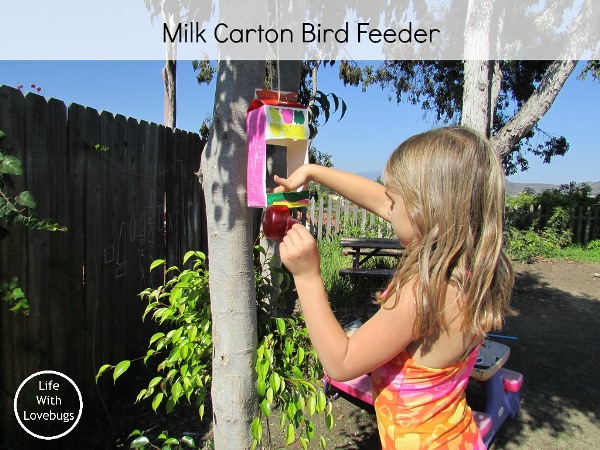 How To Make a Milk Carton Bird Feeder