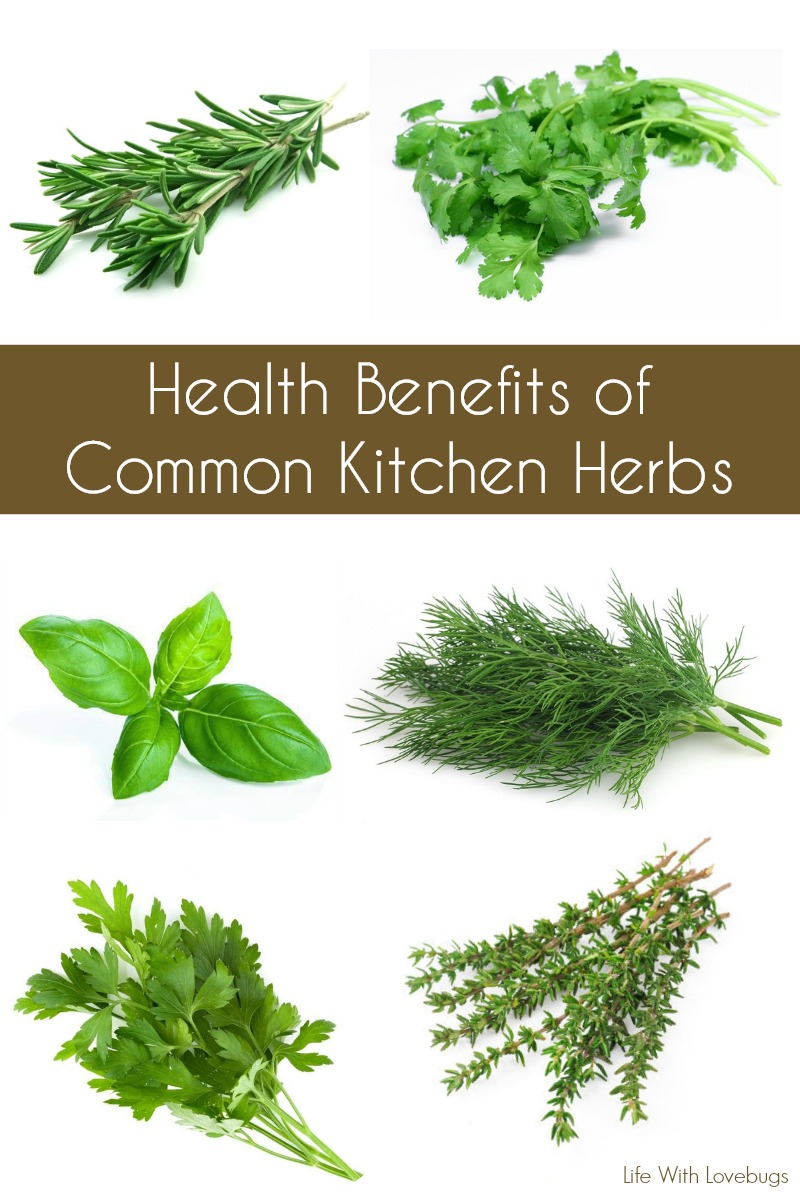 Health Benefits of Common Kitchen Herbs