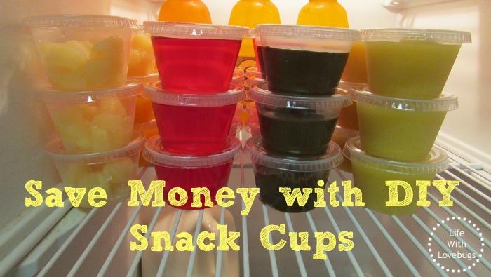 Save Money with DIY Snack Cups
