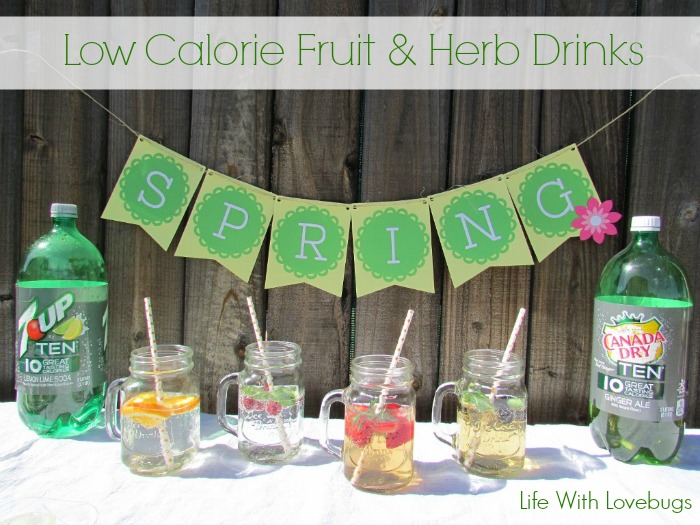 Low Calorie Fruit & Herb Drinks