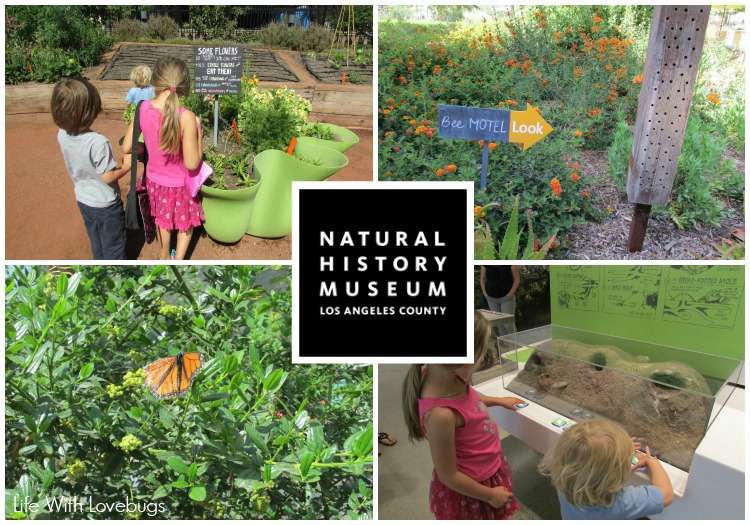 NHM of Los Angeles County: Nature Gardens and Nature Lab