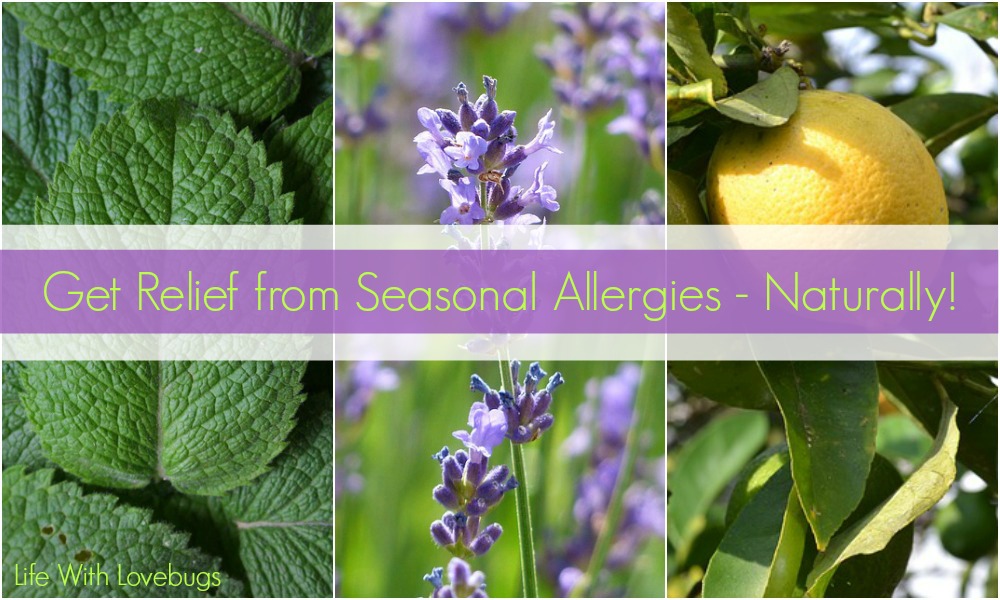 Get Relief from Seasonal Allergies - Naturally!
