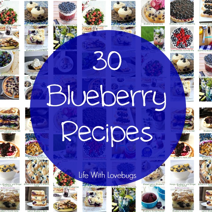 30 Blueberry Recipes