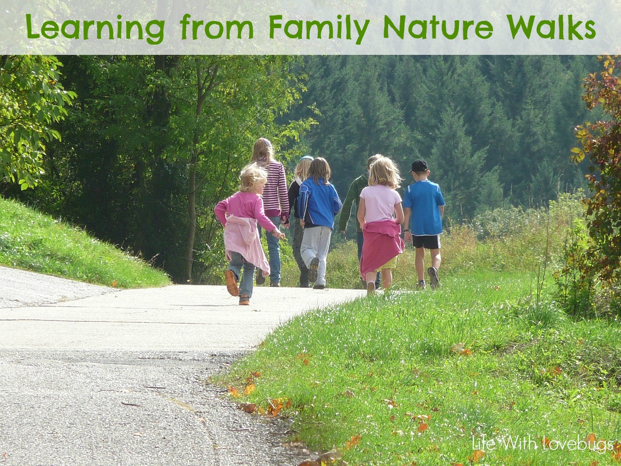 Learning from Family Nature Walks