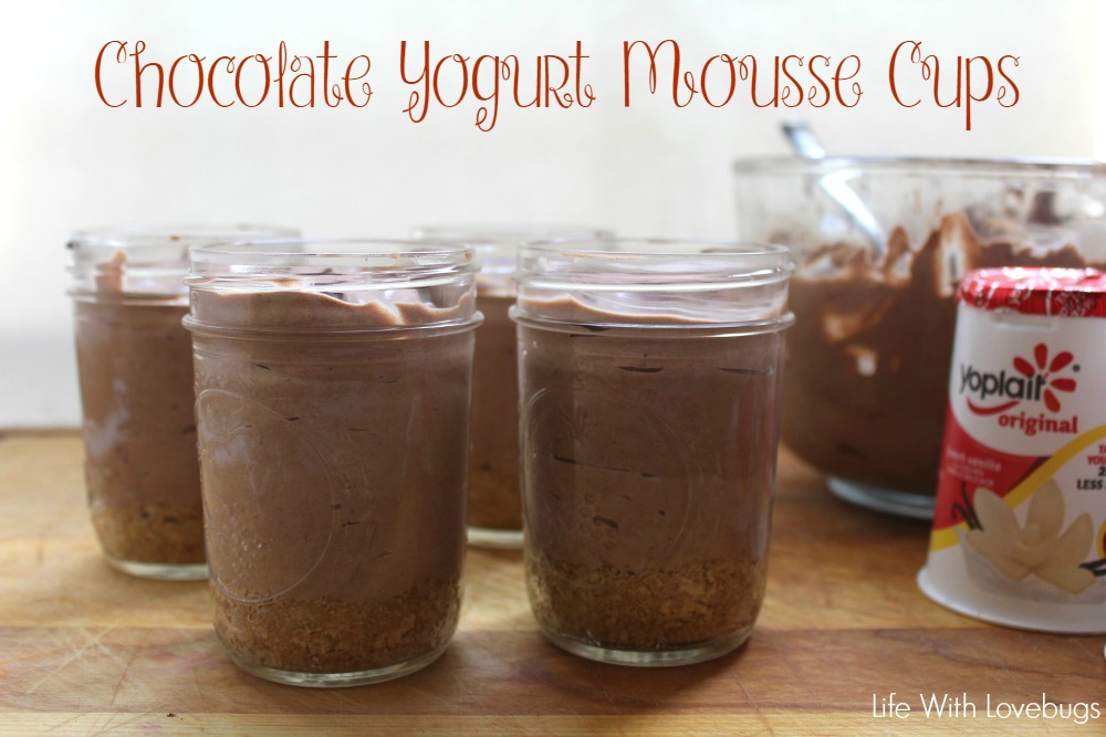 Chocolate Yogurt Mousse Cups
