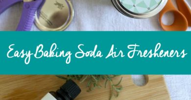 Easy All-Natural Baking Soda Air Fresheners for Your Home