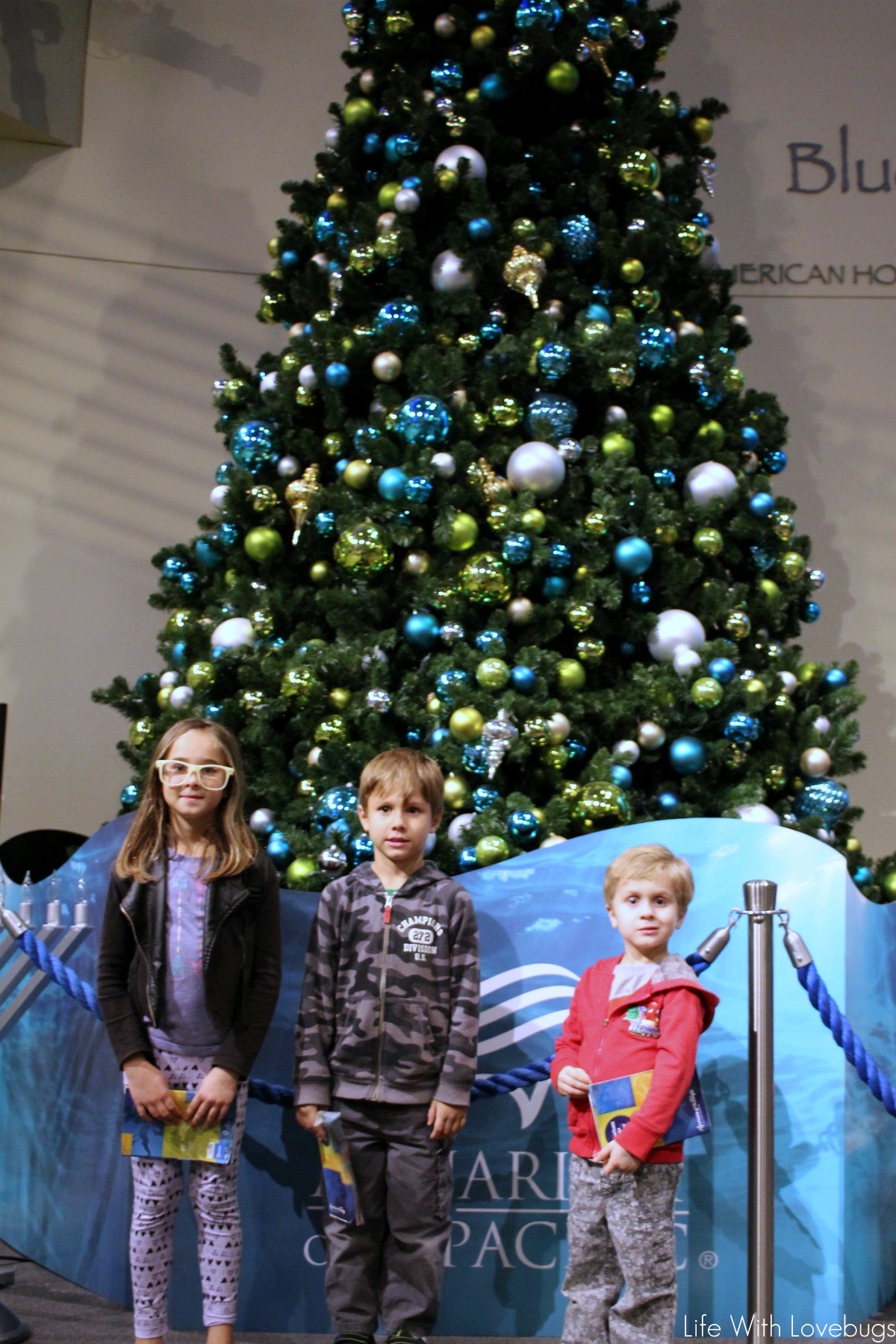 Holidays at The Aquarium of the Pacific