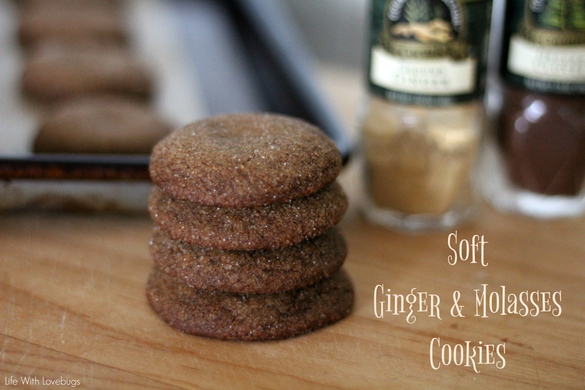Soft Ginger and Molasses Cookies