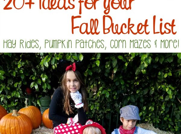 Corn Mazes, Pumpkin Patches, Cider and more! Here are 20+ ideas for your Fall Bucket List.