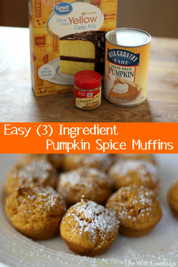 Easy 3 Ingredient Pumpkin Spice Muffins