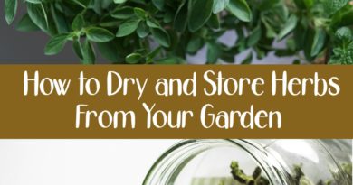 How to Dry and Store Herbs From Your Garden