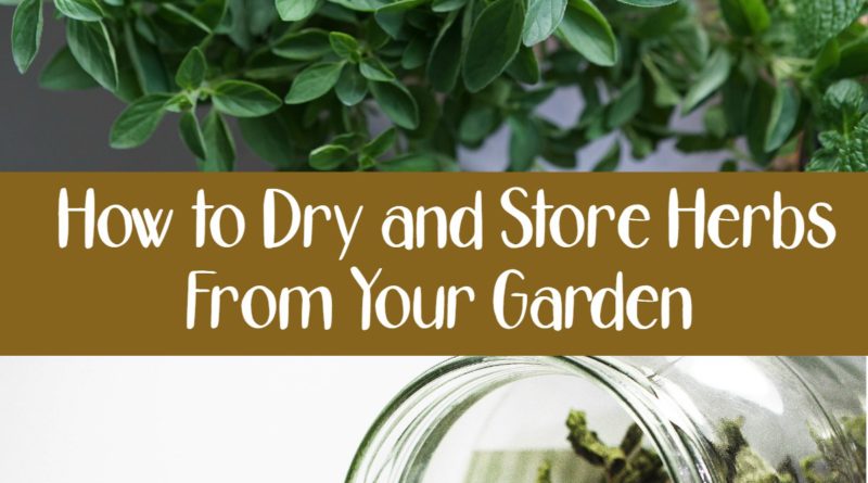 How to Dry and Store Herbs From Your Garden